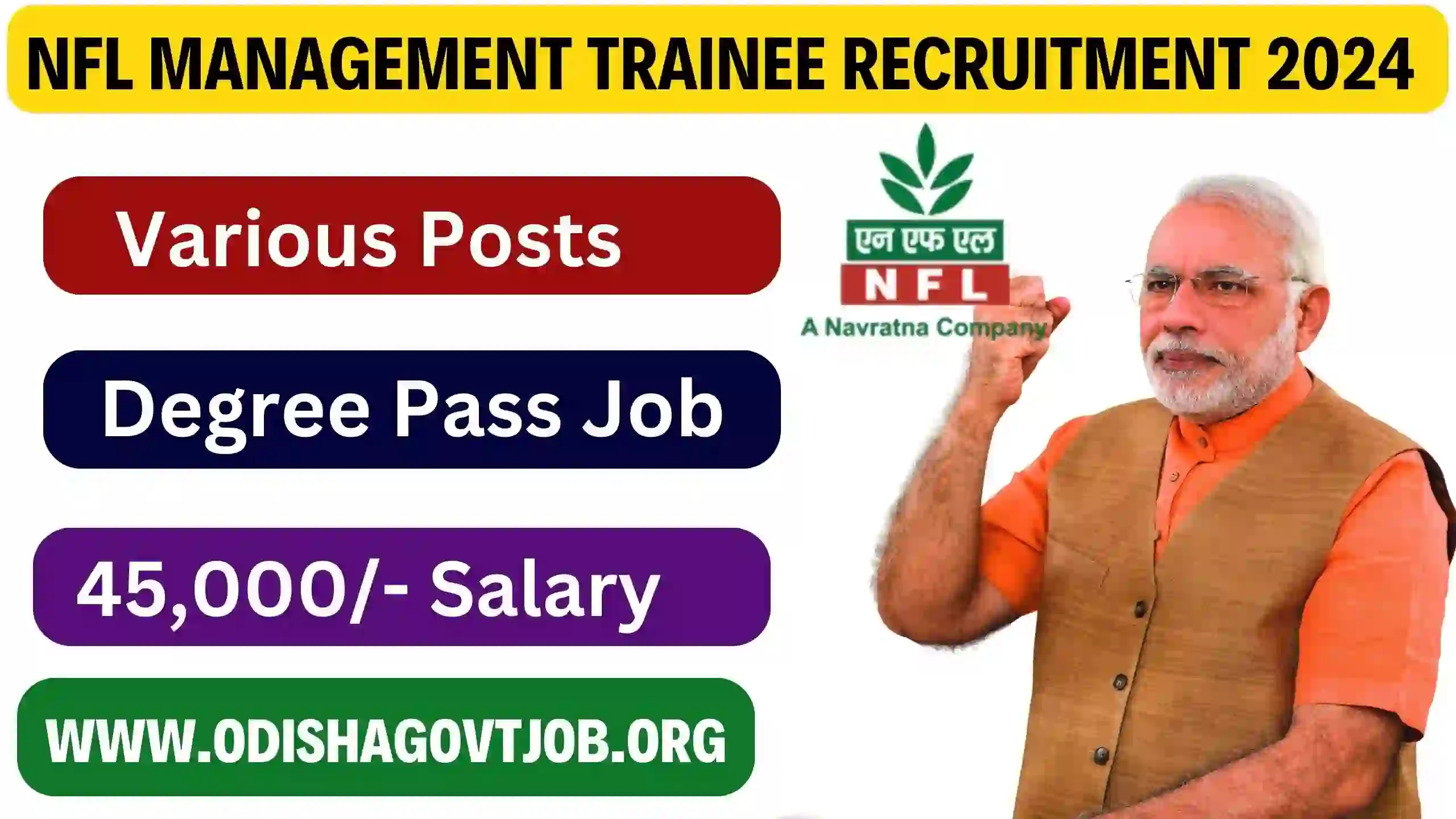 NFL Management Trainee Recruitment 2024